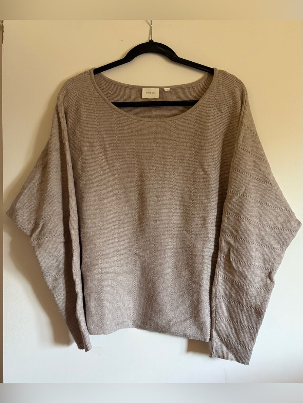 Cyrus Tan Knit Boatneck Dolman Top